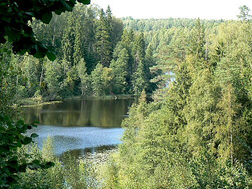 Pikkjärv