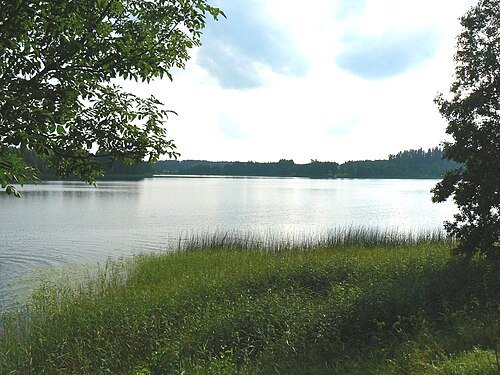 Suurjärv