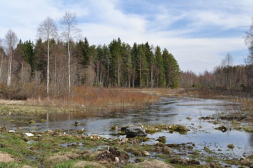 Preedi River