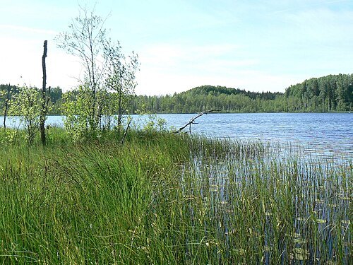Päästjärv