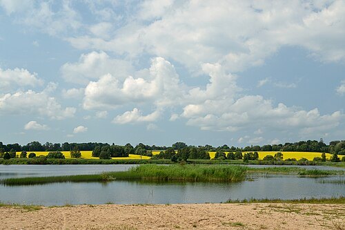 Raudna Nature Reserve