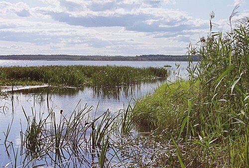 Rõngu River
