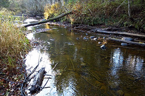 Saarjõgi