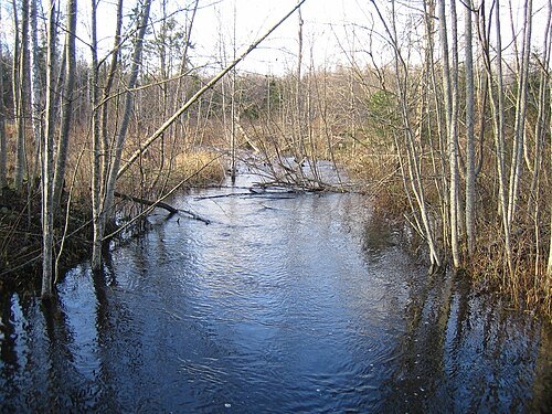 Salla River