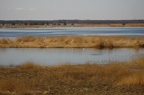 Silma Nature Reserve