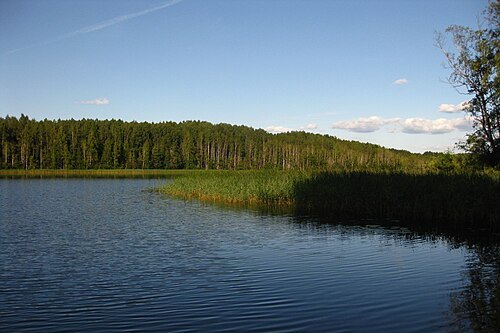 Tündre Nature Reserve