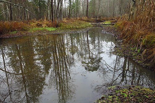Vasavere River