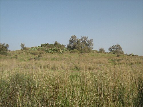 Tel Ashdod