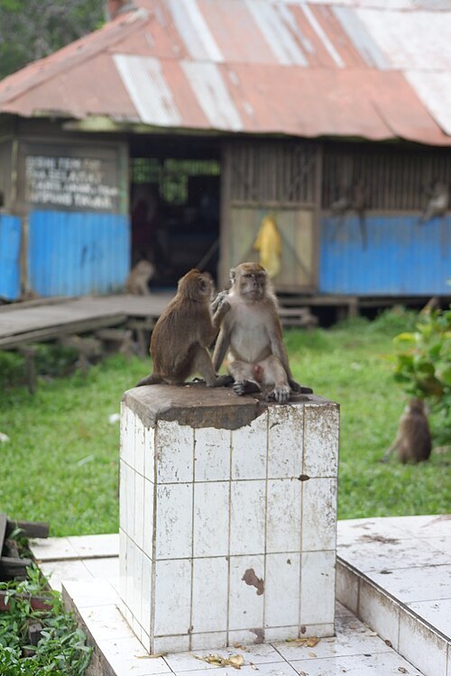 Kembang Island