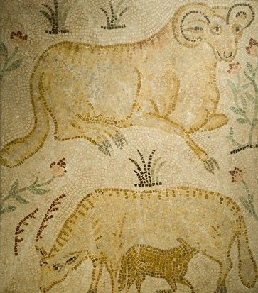Rusguniae