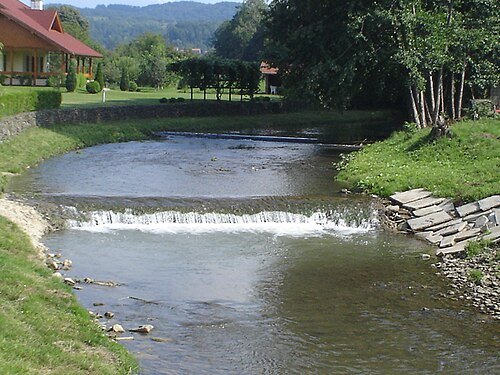 Mlječanica