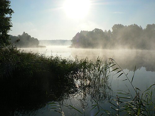 Burokaraisčio Lake