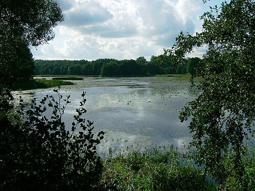 Oplankio Lake
