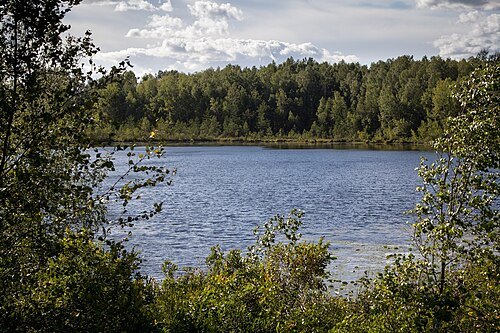 Perdalė