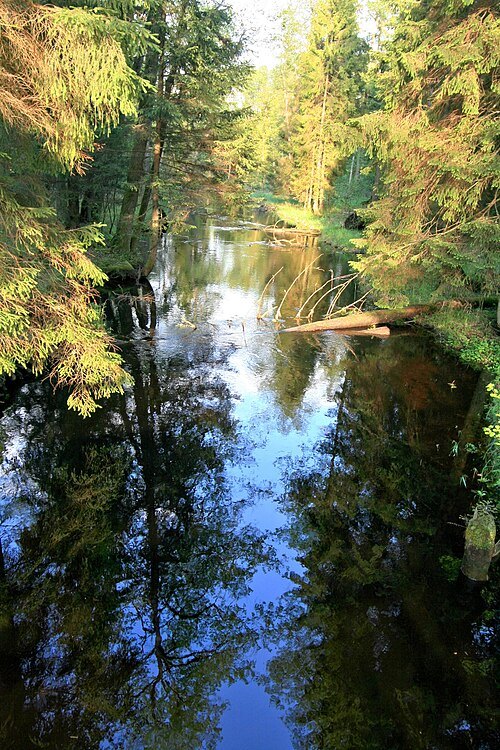 Viešvilė Reserve