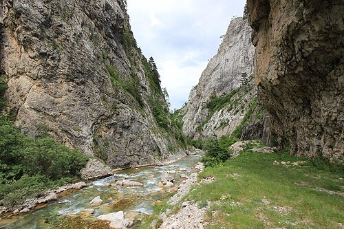 Sutjeska