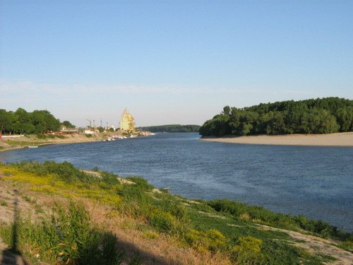 Borcea branch