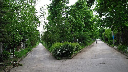 Saint Lazarus cemetery