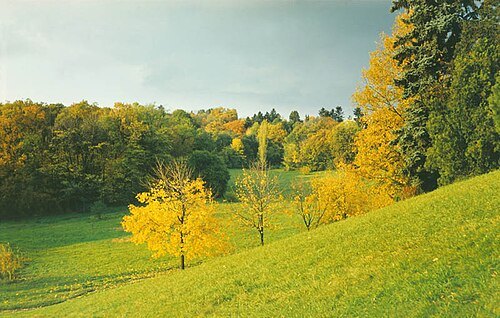 Țaul Park