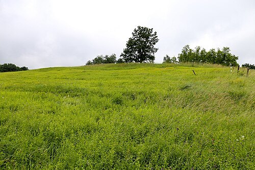 Góra Gipsowa Nature Reserve