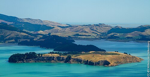 Ōtamahua / Quail Island