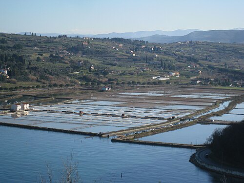 Strunjan Salina