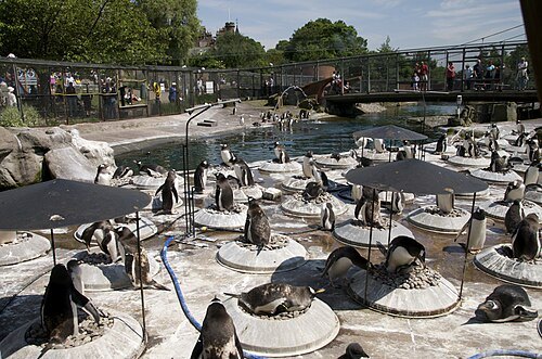愛丁堡動物園