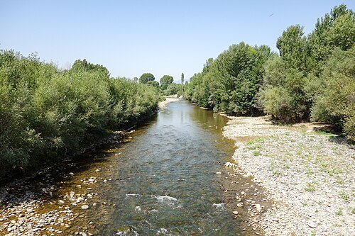 Kvabliani