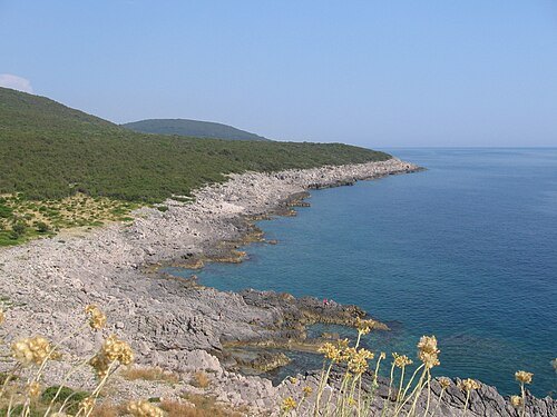 Luštica