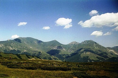 Bakardan