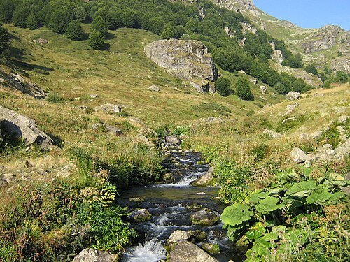 Bogovinjska river