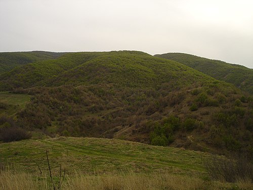 Smrdeš