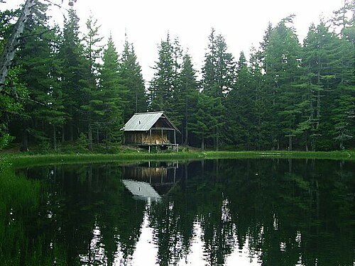 Lake Visitor