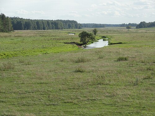 Vaŭčanka