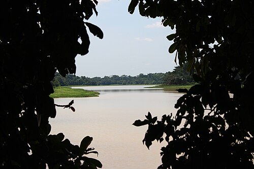 Owabi River