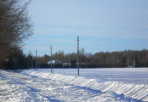 Klamputė