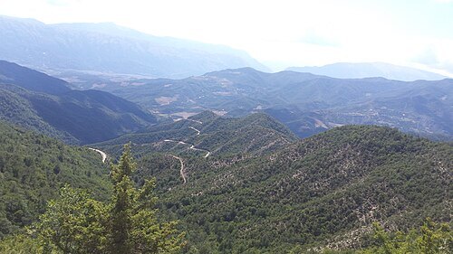 National Park - Fir of Hotova
