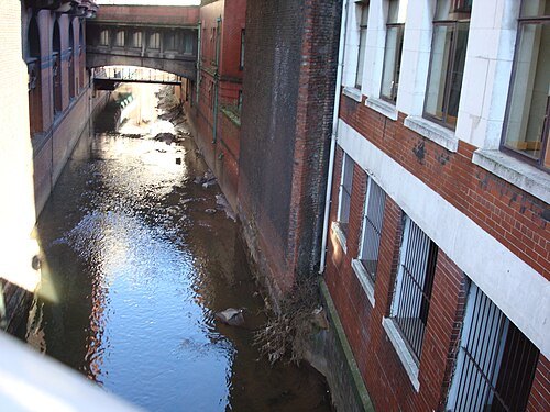 River Medlock
