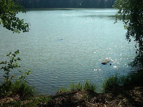 Elsen-See