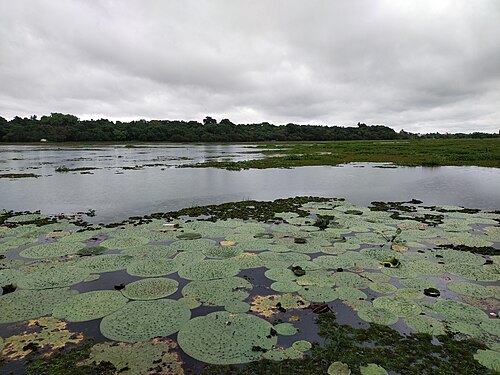 Kanjia lake
