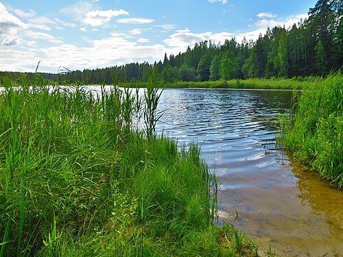 Vähkjärv