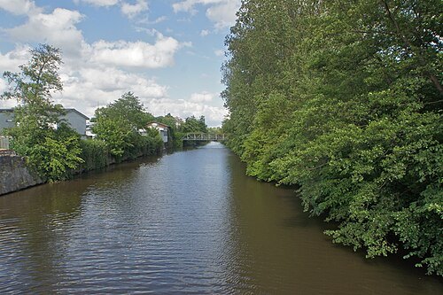 Rhin (Elbe)