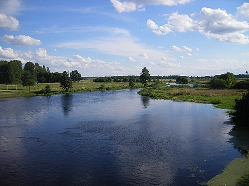 Liasnaja