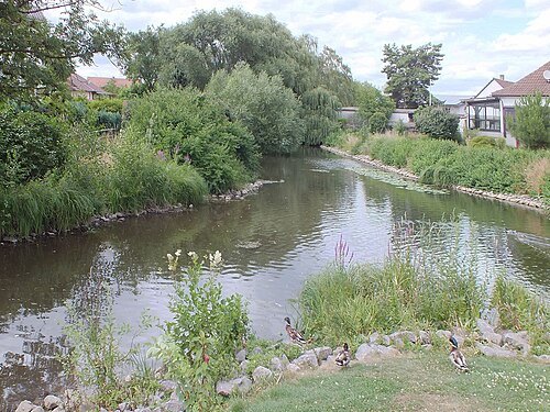 Erlenbach