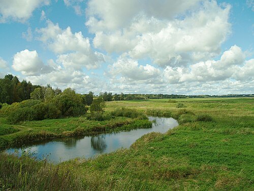 Porijõgi
