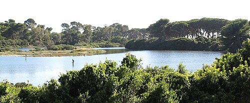 île Sainte-Marguerite