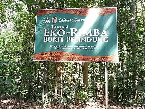 Pelindung Hill Recreational Forest