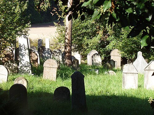 Jewish cemetery in Malešov