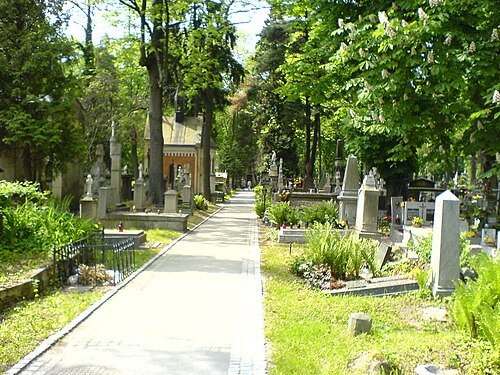 Rakowicki Cemetery