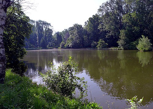 Zirc Arboretum
